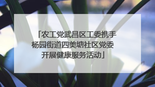 农工党武昌区工委携手杨园街道四美塘社区党委开展健康服务活动