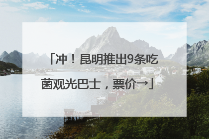 冲！昆明推出9条吃菌观光巴士，票价→