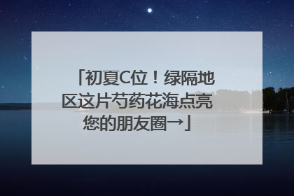 初夏C位！绿隔地区这片芍药花海点亮您的朋友圈→