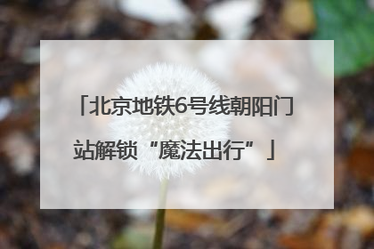 北京地铁6号线朝阳门站解锁“魔法出行”