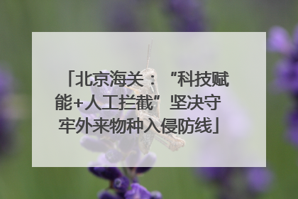 北京海关：“科技赋能+人工拦截”坚决守牢外来物种入侵防线