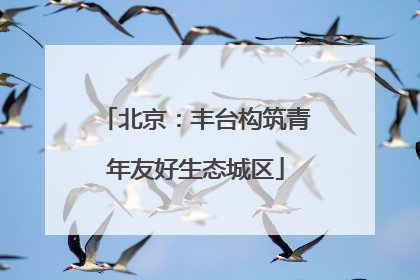 北京：丰台构筑青年友好生态城区