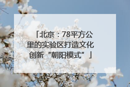 北京：78平方公里的实验区打造文化创新“朝阳模式”