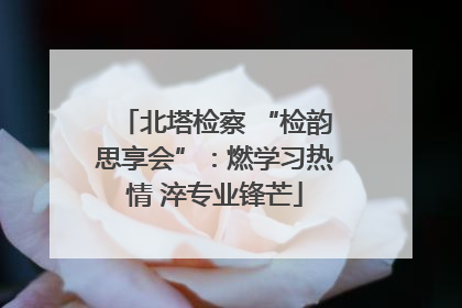 北塔检察 “检韵思享会”：燃学习热情 淬专业锋芒
