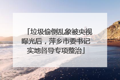 垃圾偷倒乱象被央视曝光后，萍乡市委书记实地督导专项整治