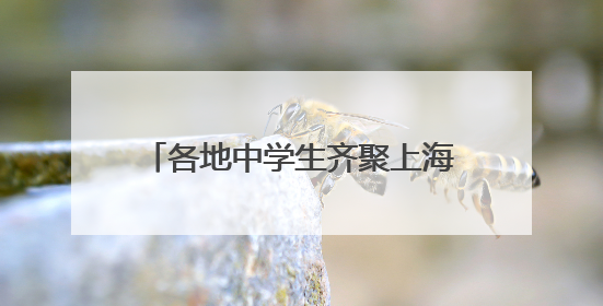 各地中学生齐聚上海，进行了一场关于AI治理未来的探索
