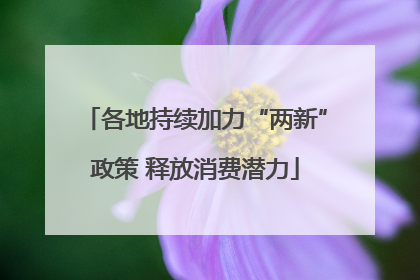 各地持续加力“两新”政策 释放消费潜力