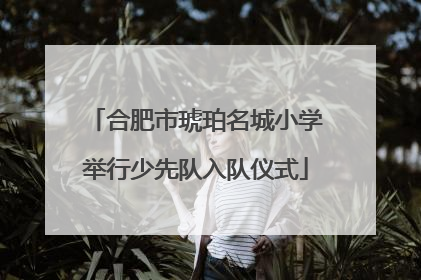合肥市琥珀名城小学举行少先队入队仪式