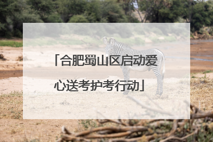 合肥蜀山区启动爱心送考护考行动