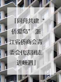 同舟共建“侨爱岛” 浙江省侨商会青委会代表团走进嵊泗
