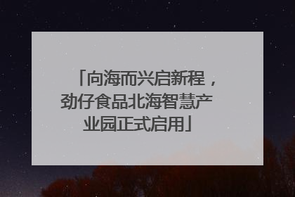 向海而兴启新程，劲仔食品北海智慧产业园正式启用