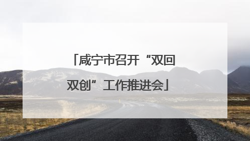 咸宁市召开“双回双创”工作推进会