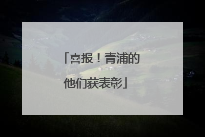 喜报！青浦的他们获表彰
