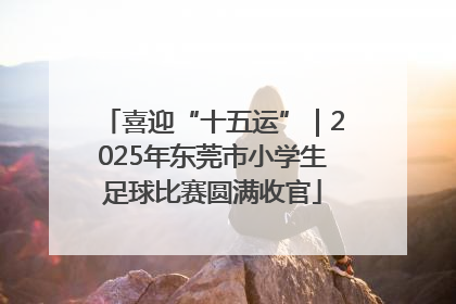 喜迎“十五运”｜2025年东莞市小学生足球比赛圆满收官