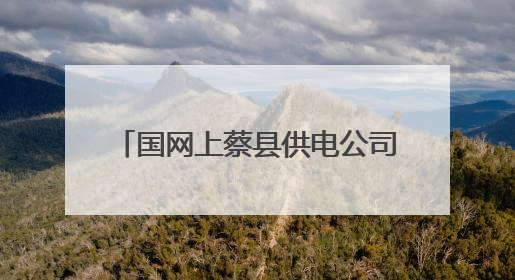 国网上蔡县供电公司：以高质量数据治理 助推数字化转型