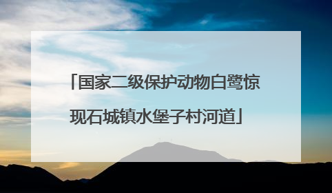 国家二级保护动物白鹭惊现石城镇水堡子村河道
