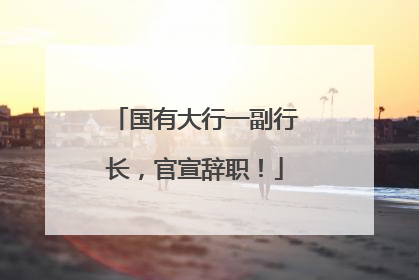 国有大行一副行长，官宣辞职！