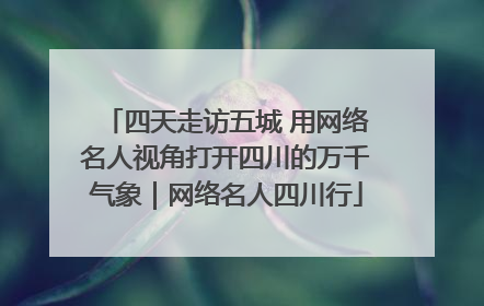 四天走访五城 用网络名人视角打开四川的万千气象｜网络名人四川行