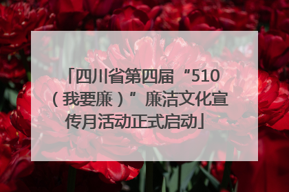 四川省第四届“510（我要廉）”廉洁文化宣传月活动正式启动