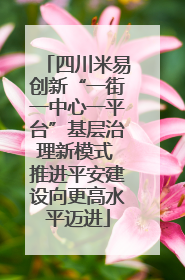 四川米易创新“一街一中心一平台”基层治理新模式 推进平安建设向更高水平迈进