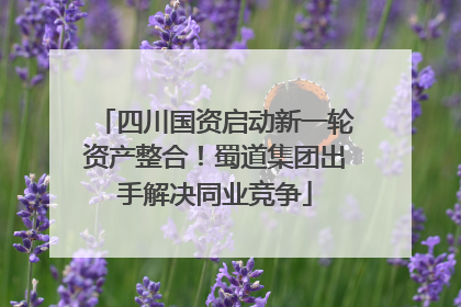 四川国资启动新一轮资产整合！蜀道集团出手解决同业竞争