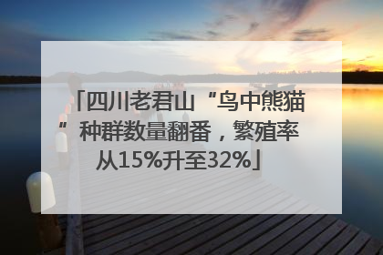 四川老君山“鸟中熊猫”种群数量翻番，繁殖率从15%升至32%