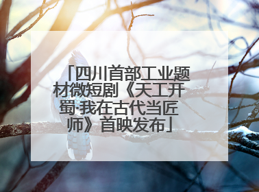 四川首部工业题材微短剧《天工开蜀·我在古代当匠师》首映发布