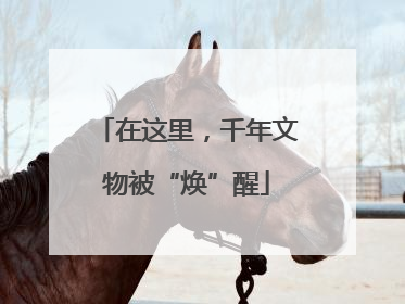 在这里，千年文物被“焕”醒