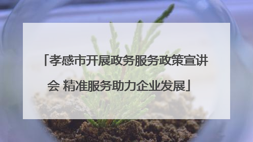 孝感市开展政务服务政策宣讲会 精准服务助力企业发展