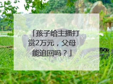 孩子给主播打赏2万元，父母能追回吗？