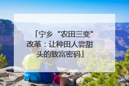 宁乡“农田三变”改革：让种田人尝甜头的致富密码