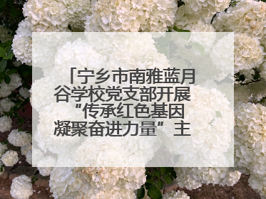 宁乡市南雅蓝月谷学校党支部开展“传承红色基因 凝聚奋进力量”主题党日活动