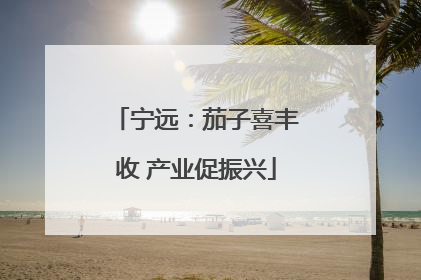 宁远：茄子喜丰收 产业促振兴