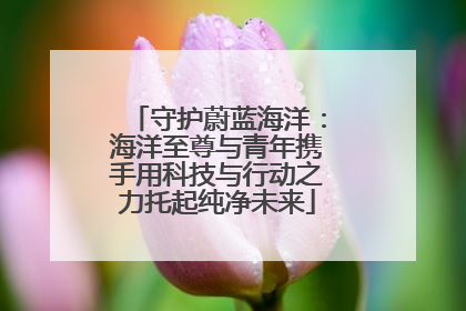 守护蔚蓝海洋：海洋至尊与青年携手用科技与行动之力托起纯净未来