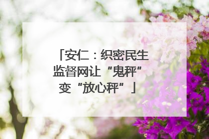 安仁：织密民生监督网让“鬼秤”变“放心秤”