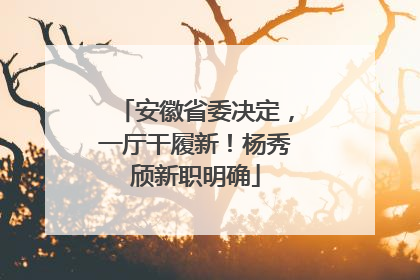 安徽省委决定，一厅干履新！杨秀颀新职明确