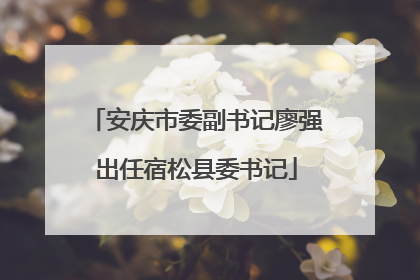 安庆市委副书记廖强出任宿松县委书记