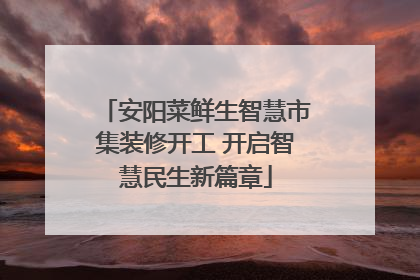 安阳菜鲜生智慧市集装修开工 开启智慧民生新篇章