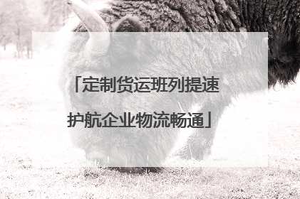 定制货运班列提速 护航企业物流畅通