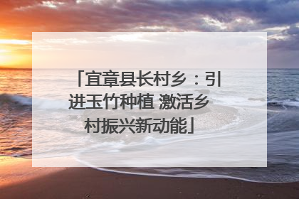 宜章县长村乡：引进玉竹种植 激活乡村振兴新动能