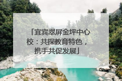 宜宾翠屏金坪中心校：共探教育特色，携手共促发展