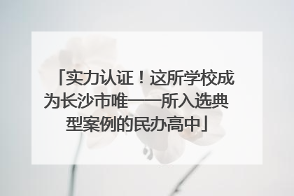 实力认证！这所学校成为长沙市唯一一所入选典型案例的民办高中