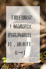 夏日限定！杨浦滨江的花海超出片，速来打卡→