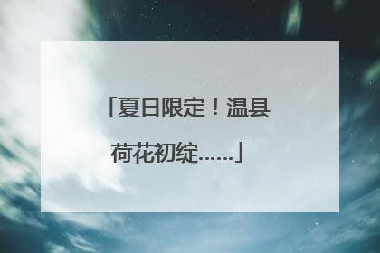 夏日限定！温县荷花初绽……