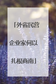 外省民营企业家何以扎根商南
