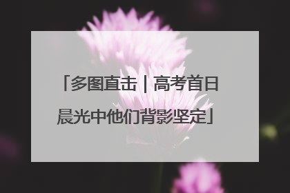 多图直击｜高考首日 晨光中他们背影坚定
