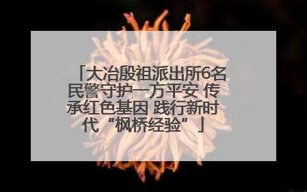 大冶殷祖派出所6名民警守护一方平安 传承红色基因 践行新时代“枫桥经验”