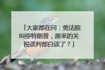 大家都在问：美法院叫停特朗普，原来的关税谈判都白谈了？
