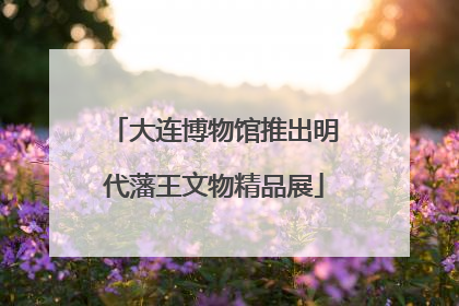 大连博物馆推出明代藩王文物精品展