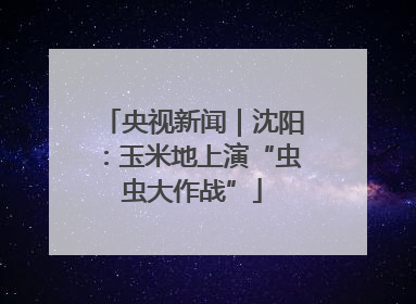 央视新闻｜沈阳：玉米地上演“虫虫大作战”